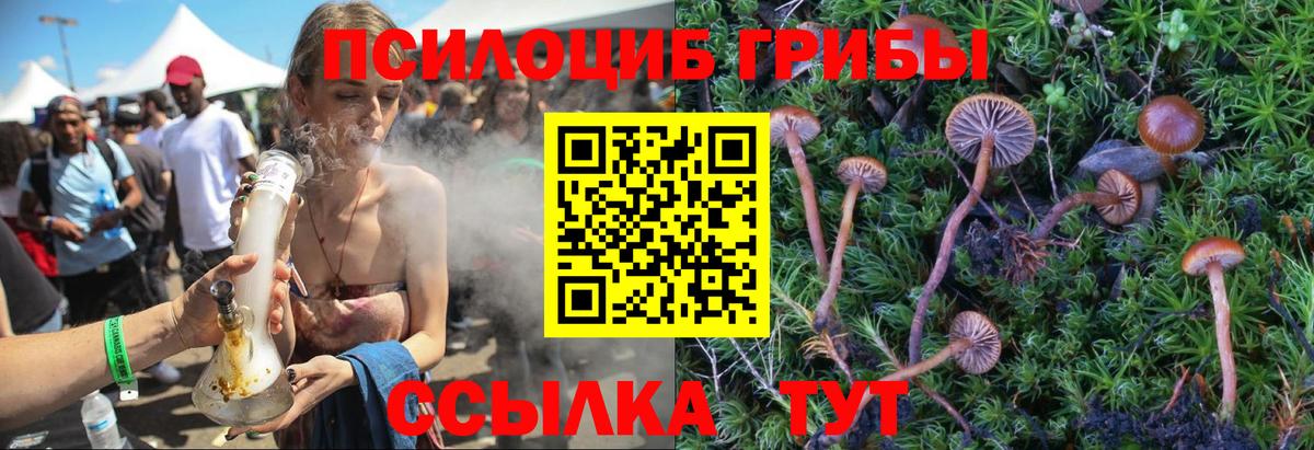 Псилоцибиновые грибы Magic Shrooms Дербент
